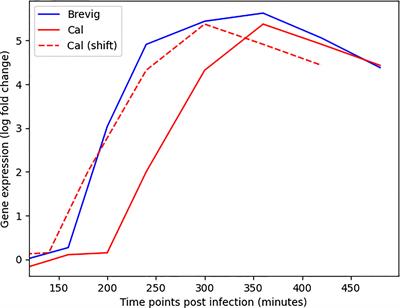 Comparing Host Module Activation Patterns and Temporal Dynamics in Infection by Influenza H1N1 Viruses